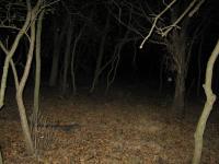 Chicago Ghost Hunters Group investigates Robinson Woods (147).JPG
